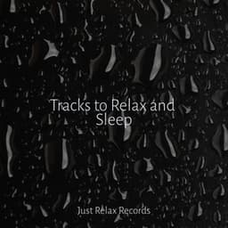 Tracks to Relax and Sleep - Relaxamento