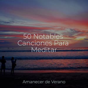 50 Notables Canciones Para Meditar - Música Instrumental Maestro
