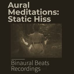 Aural Meditations: Static Hiss - Binaural Beats Recordings