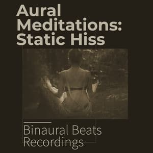 Aural Meditations: Static Hiss - Binaural Beats Recordings