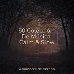 50 Colección De Música Calm & Slow - CANCIONES DE CUNA
