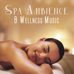 Spa Ambience & Wellness Music: Calming Instrumentals and Nature Music - Spa Music Zone
