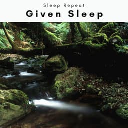 A Given Sleep - Sleep Repeat