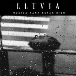 Lluvia: Música Para Estar Bien - Calma