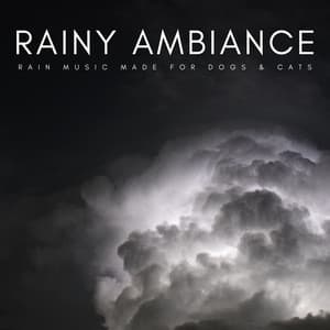 Rainy Ambiance: Rain Music Made For Dogs & Cats - Music For Pets