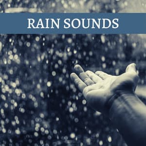 Rain Sounds: Relaxing Music for Sleep, Focus, Studying - Rainy Lullaby
