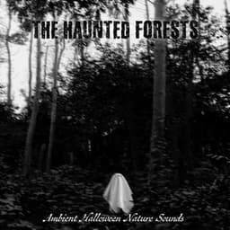 The Haunted Forest - Misty Ray