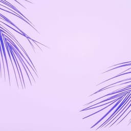 Organic Guitar Music - Background for Listening Tales - Chill Vibes