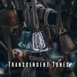 Transcendent Tones: ASMR Sounds for Restful Meditation - Bugghist Meditation Music Set