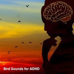 Bird Sounds for ADHD - Bird Sound Collectors