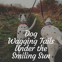 Dog Wagging Tails Under the Smiling Sun - Music for Dog's Ears