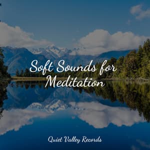 Soft Sounds for Meditation - FX & Effects