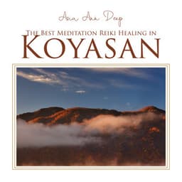 The Best Meditation Reiki Healing in Koyasan - Asia Ann Deep