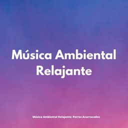 Música Ambiental Relajante: Perros Acurrucados - Trambiendo