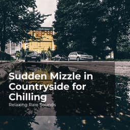 Sudden Mizzle in Countryside for Chilling - Relaxing Rain Sounds