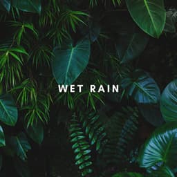 Jungle Rain - Rain Radiance