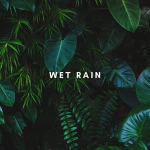 Jungle Rain - Rain Radiance