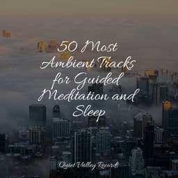 50 Most Ambient Tracks for Guided Meditation and Sleep - Academia de Música para Massagem e Relaxamento