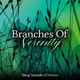 Branches Of Serenity - Sleep Sounds of Nature