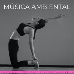 Música Ambiental: Lluvia Torrencial Para La Meditación Vol. 1 - Meditación Lluvia Sonidos