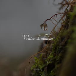 Water Lullabies - Binaural Creations