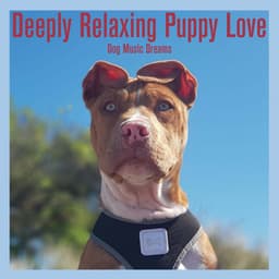 Deeply Relaxing Puppy Love: Dog Music Dreams - Relaxmydog