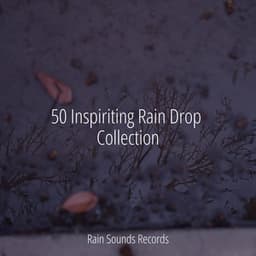 50 Inspiriting Rain Drop Collection - Nature Sounds Nature Music