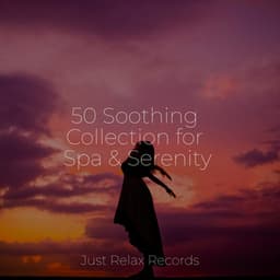 50 Soothing Collection for Spa & Serenity - Thunderstorm Sound Bank
