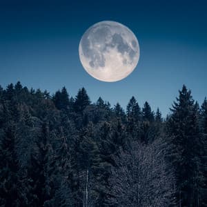 Paz Nocturna: Música Para Un Sueño Reparador - Espíritus de nuestros sueños