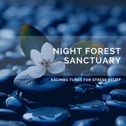 Night Forest Sanctuary: Kalimba Tunes for Stress Relief - Quarantine Meditation