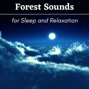 Forest Sounds for Sleep and Relaxation - Sleep Songs Divine