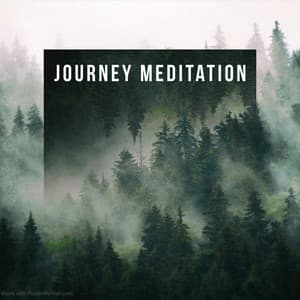 Journey meditation - halley Green