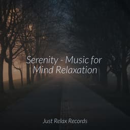 Serenity - Music for Mind Relaxation - Brain Study Music Guys