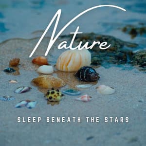 Sleep Beneath the Stars: Celestial Soothing - Sleep Tech