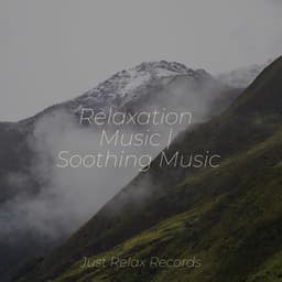 Relaxation Music | Soothing Music - Meditation Spa