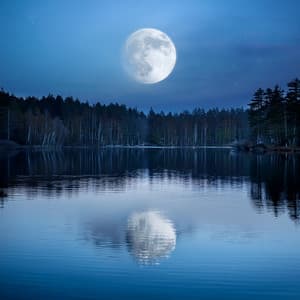 Orchestra Of Serene Slumber: Calming Symphonies For A Restful Night - Lee Rosangela