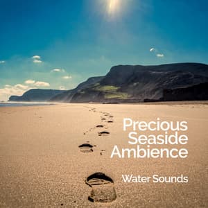 Precious Seaside Ambience - Water Sounds