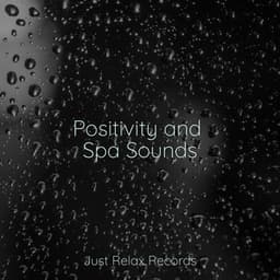 Positivity and Spa Sounds - Zen