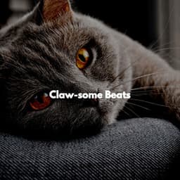 Claw-some Beats - Calming Cat Music