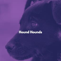 Hound Hounds - Cheerful Hotel Lobby Music