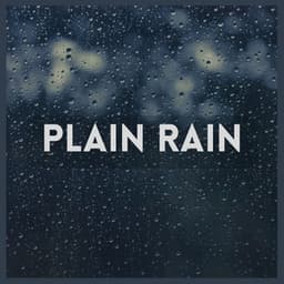 Plain Rain - Raindrops Sleep