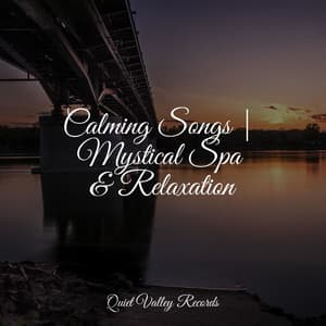 Calming Songs | Mystical Spa & Relaxation - Weather Sounds