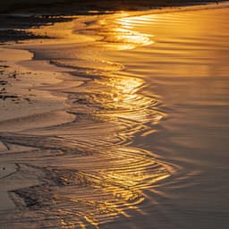 Corrientes Serenas: Música Ambiental Tranquila - Musica Relajante Chill Out