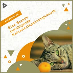 Eine Stunde beruhigende Katzenentspannungsmusik - Katzenmusik