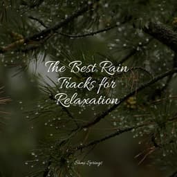 The Best Rain Tracks for Relaxation - Ambient Rain