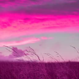 Lo-fi - Ambiance for All Night Studying - Lo-fi Pop Sounds