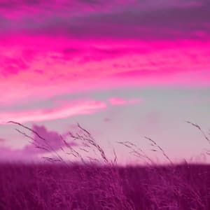 Lo-fi - Ambiance for All Night Studying - Lo-fi Pop Sounds