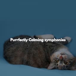 Purrfectly Calming symphonies - Jazz Classics Cafe