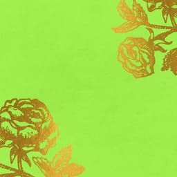 Trumpet Bossa - Background for Fresh Feelings - French Cafe Music