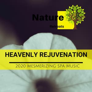 Heavenly Rejuvenation - 2020 Mesmerizing Spa Music - Power Yoga Nature Sounds